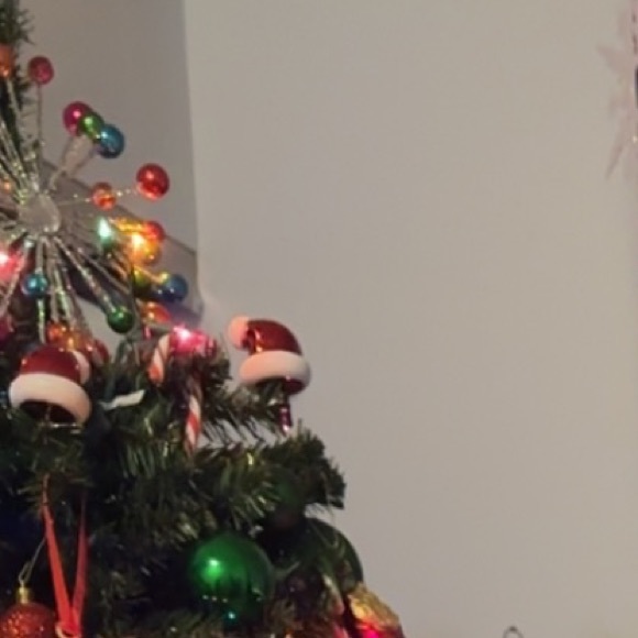 Meet your Posher, Grace - Picture 1 of 1